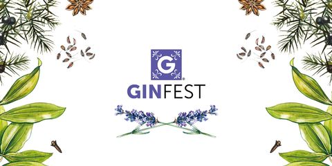 GINFEST