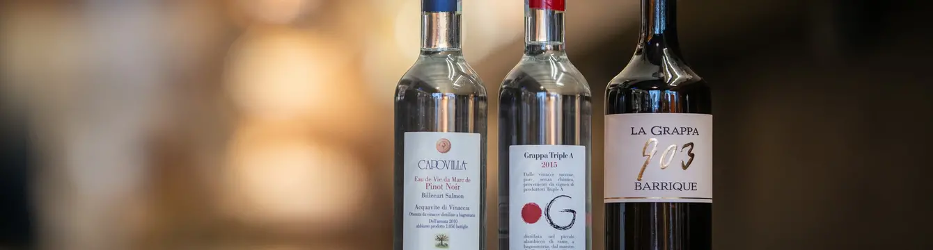 Grappa kategorie