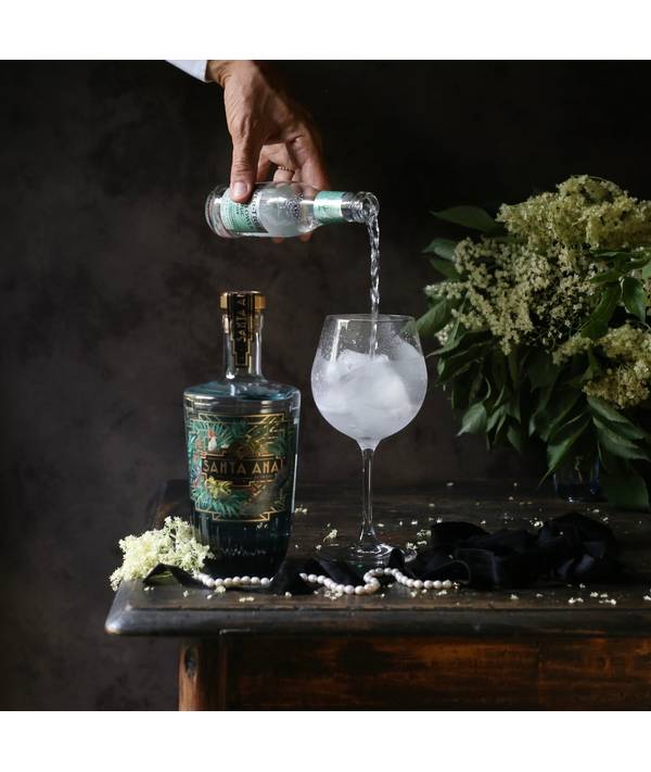 Santa Ana Gin & Tonic 42,3% 2,3 l