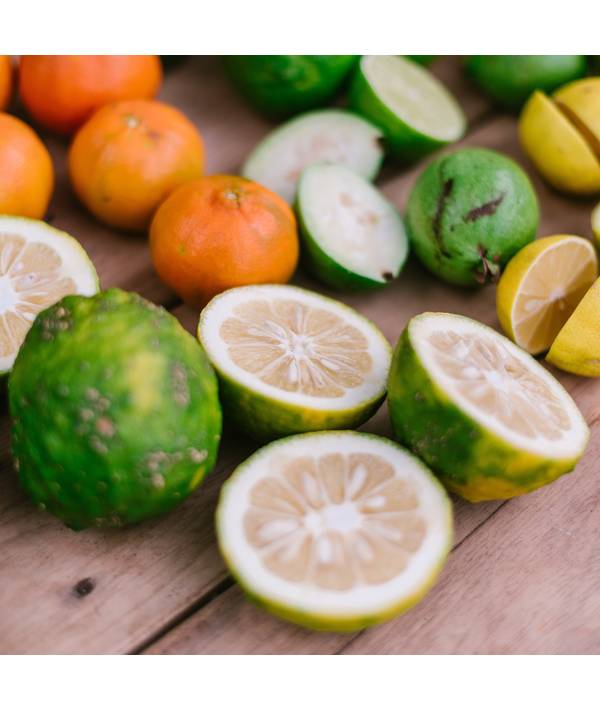 Degustace Gin 15.4.2026, Datum 15.4.2026