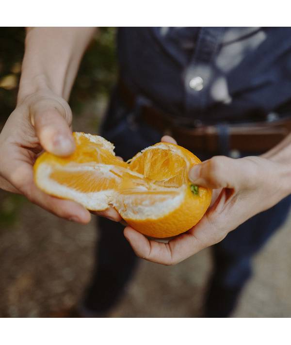 Degustace Gin 15.4.2026, Datum 15.4.2026