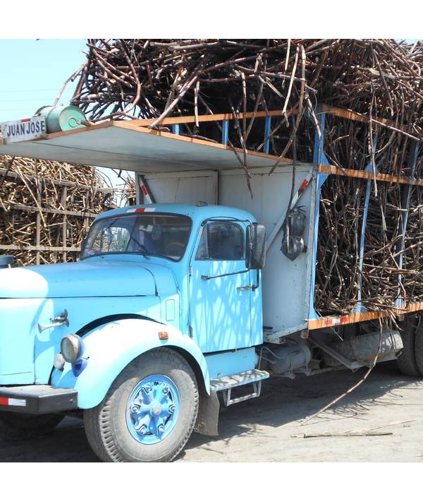 Rumové bohatství Karibiku a Peru 22.4.2026, Datum 22.4.2026