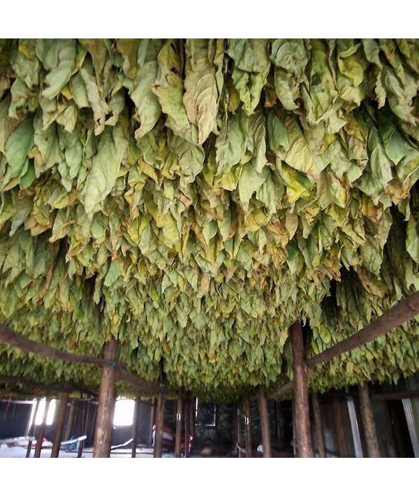 Svět doutníků 28.5.2026, Datum 28.5.2026