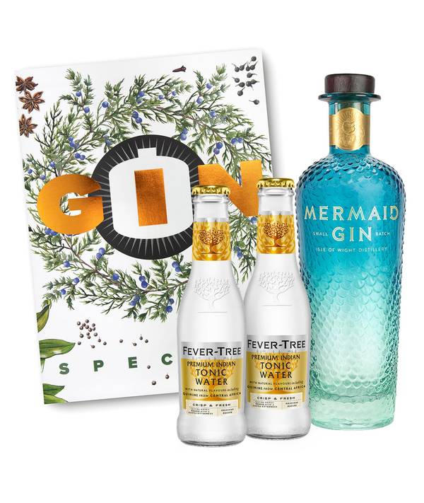 Ginové Vánoce 42,0% 1,1 l