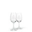 Sklenice Rum Shark Glencairn Copita - galerie #1