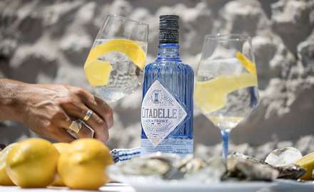 Citadelle gin + koktejl Gin Tolnic s citronem 