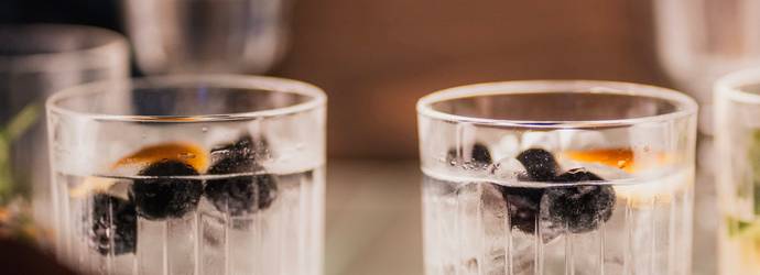Gin z různých koutů světa 21.5.2025