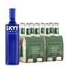 Skyy Vodka & Ginger Beer