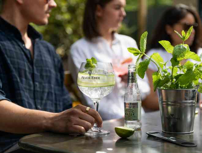 Gin a Tonic ve sklenici fever-tree
