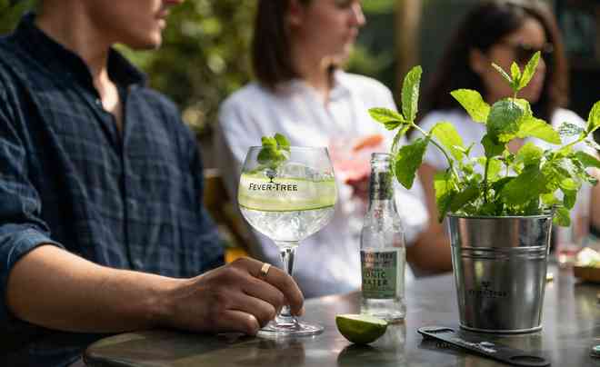 Gin a Tonic ve sklenici fever-tree