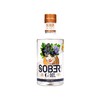 Sober Spirits G 0,0%