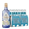 Citadelle Jardin D'Eté Gin & Mediterranean Tonic