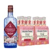 Citadelle Rouge Gin & Sparkling Pink Grapefruit